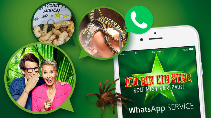 Dschungelcamp 2017: Die wichtigsten Dschungel-News per WhatsApp direkt auf dein Smartphone Dschungelcamp 2017: Die wichtigsten Dschungel-News per WhatsApp direkt auf dein Smartphone