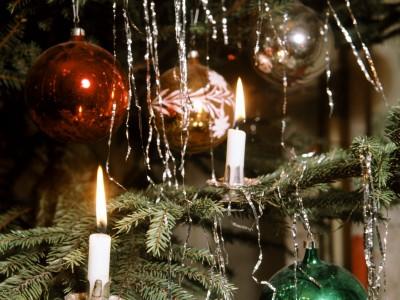 die f 252 nf fatalsten weihnachtsbaum fehler zecken alarm die f 252 nf fatalsten weihnachtsbaum fehler zecken alarm