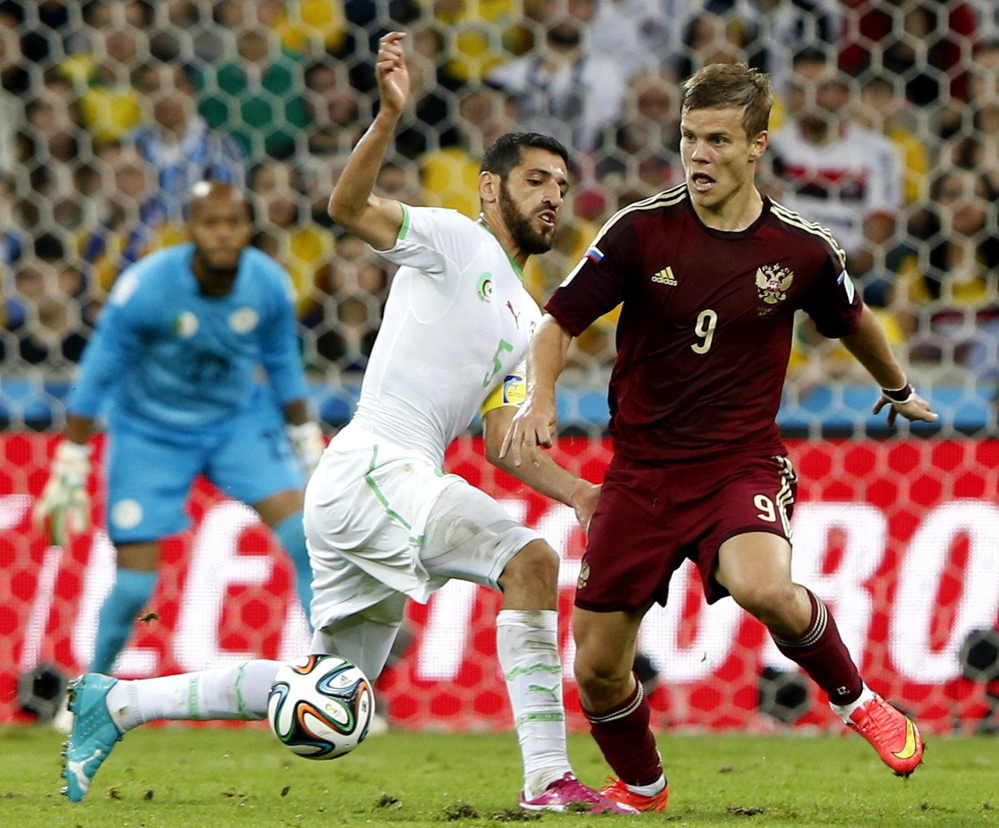 ALgerien ALgerien