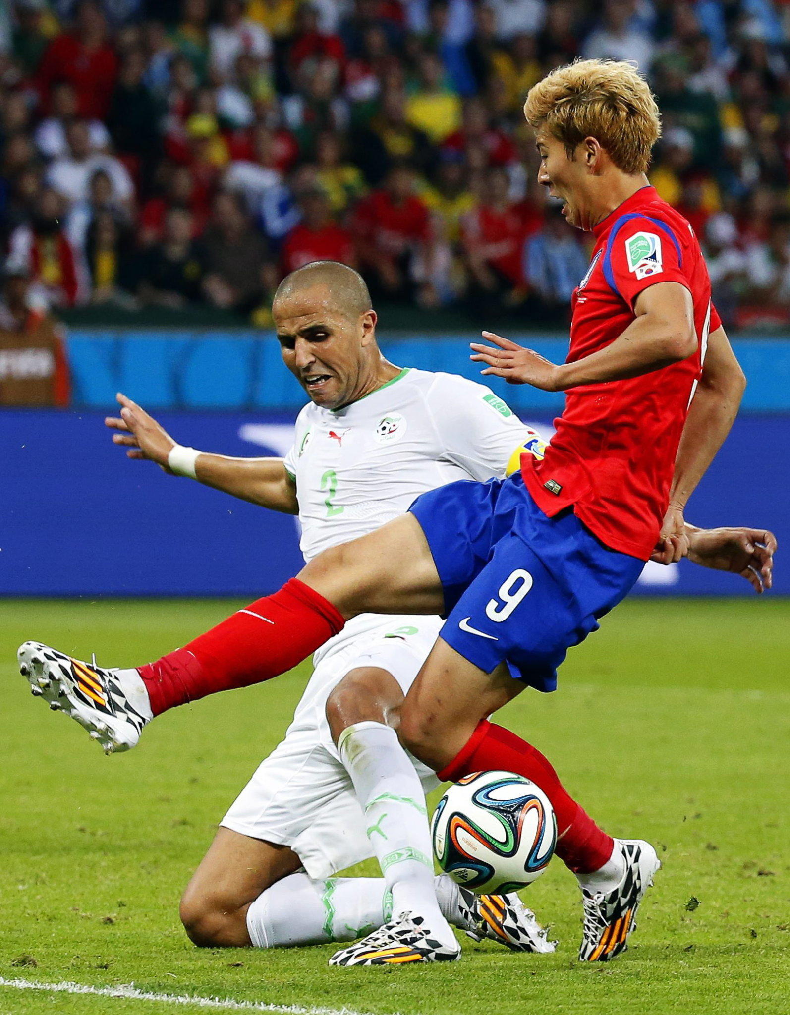 ALgerien ALgerien