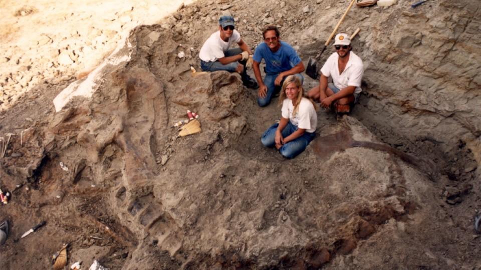 Sue, Dinosaurier Nr. 13 Terry Wentz, Peter Larson, Susan Hendrickson, Neal Larson