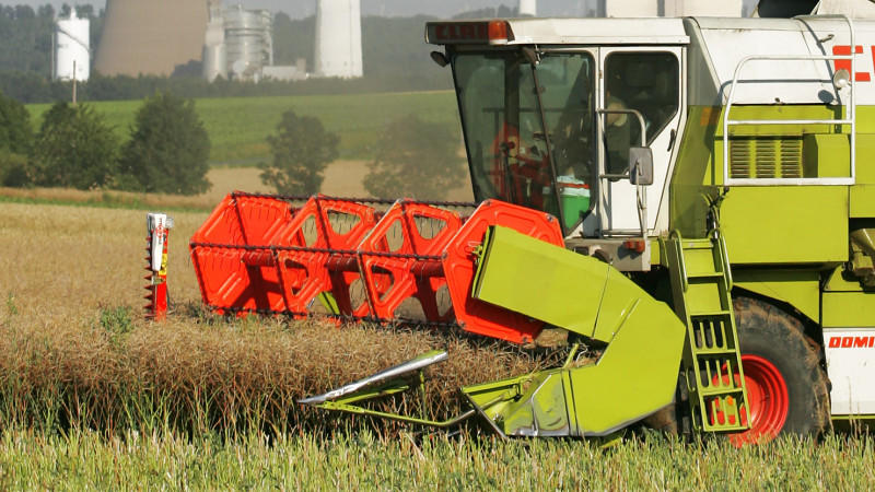 Bioenergie ist ökologischer Unfug: Besser Kraft aus Sonne, Wind und Wasser Bioenergie Ökologischer Unsinn