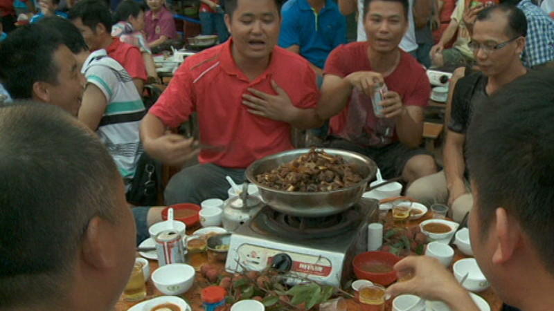 Brutales Hundeschlachten auf 'Fleisch-Festival' in China: Tierschützer protestieren Hunde in China auf brutalste Art und Weise für den Verzehr geschlachtet