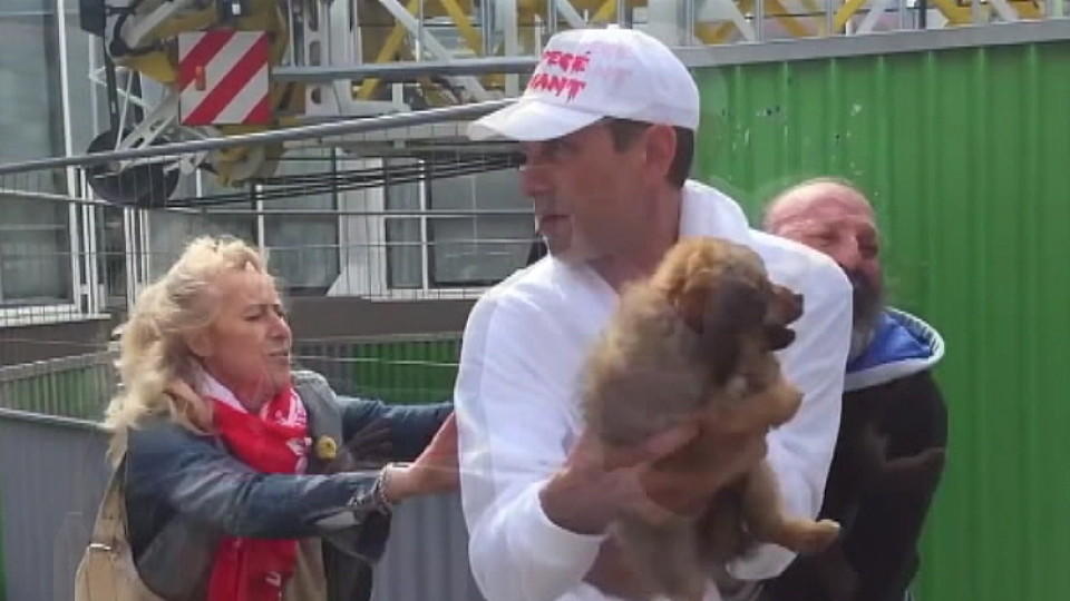 Gronkh Hund Weg Gronkh Hund Weg