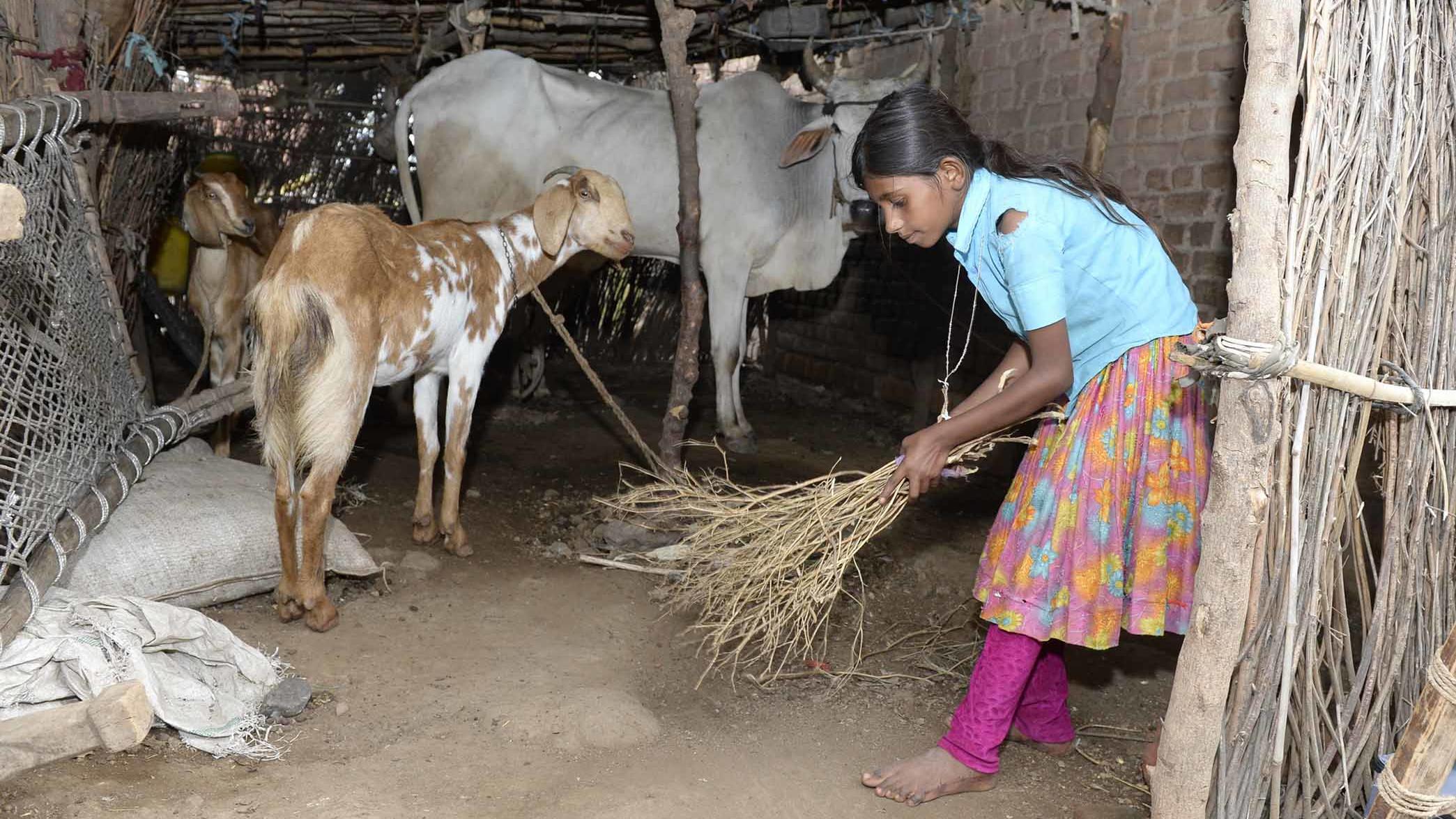 In Zusammenarbeit mit helpalliance: Bildung und Gesundheit für benachteiligte Kinder in Zentralindien Der indische Bundesstaat Madhya Pradesh ist eine der ärmsten Gegenden der Welt. Hier le-ben rund 72,6 Millionen Einwohner, davon sind 44nalphabeten. Unter allen Bundesstaaten Indiens weist Madhya Pradesh den drittgrößten Anteil (45an Menschen auf,