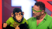 Frank Lorenz' Affe Charly flirtet mit "Schätzelein" Inka Frank Lorenz' Affe Charly flirtet mit "Schätzelein" Inka