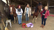 Jürgen erklärt Gabriella und Margret das Rai-Reiten Jürgen erklärt Gabriella und Margret das Rai-Reiten