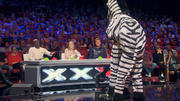 Wilde Zebras und talentlose iPhones Wilde Zebras und talentlose iPhones