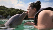 Kuscheliger Delfin-Fun für Sandra Kuscheliger Delfin-Fun für Sandra