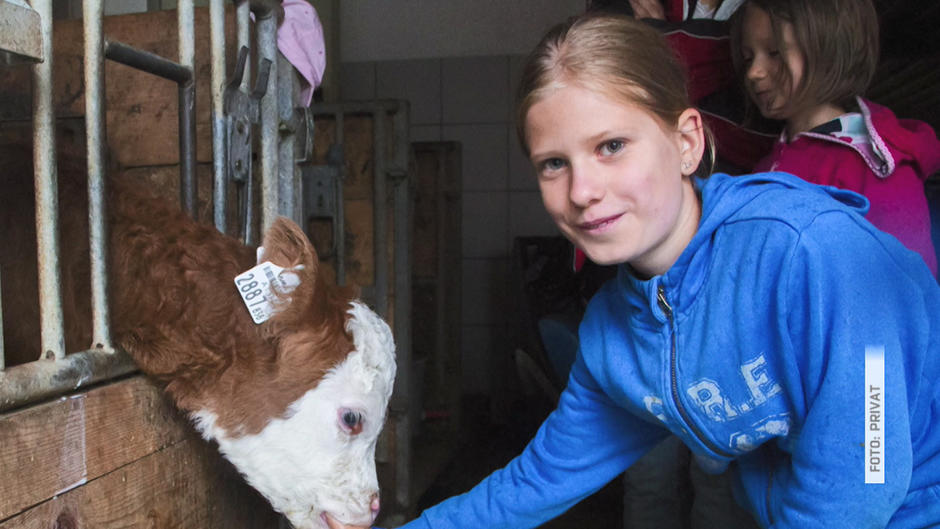 Kälbchen Kathi muss doch nicht sterben Kälbchen Kathi muss doch nicht sterben