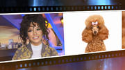 Shirin David: ein Gesicht – viele Looks Shirin David: ein Gesicht – viele Looks