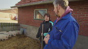 "Schweinelotto" mit Iris und Uwe "Schweinelotto" mit Iris und Uwe