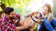 Seinen Hund mit einem Herrchen teilen: So geht 'Dogsharing' Seinen Hund mit einem Herrchen teilen: So geht 'Dogsharing'
