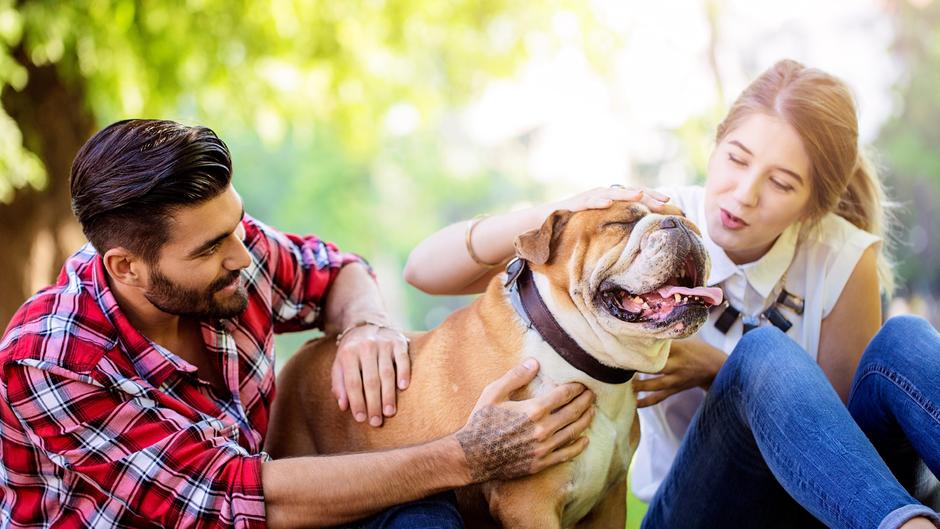 Seinen Hund mit einem Herrchen teilen: So geht 'Dogsharing' Seinen Hund mit einem Herrchen teilen: So geht 'Dogsharing'