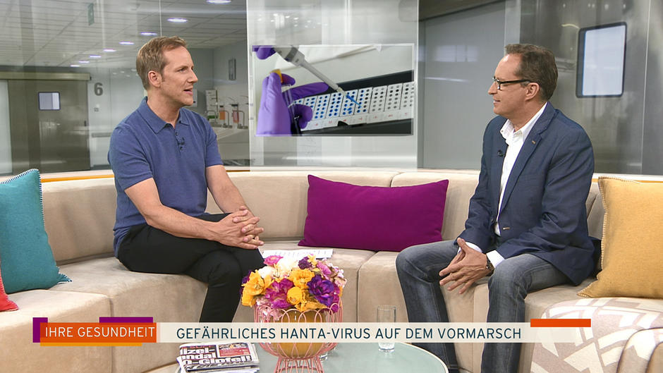 Hanta-Virus: Wann Sie zum Arzt gehen sollten Hanta-Virus: Wann Sie zum Arzt gehen sollten