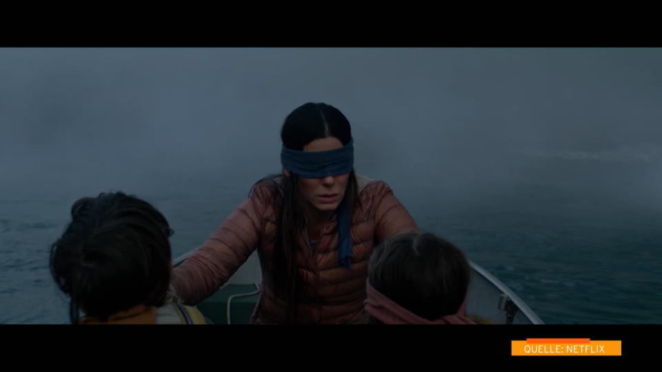 Netflix warnt vor 'Bird Box Challenge' "Bitte verletzt euch nicht selbst!"