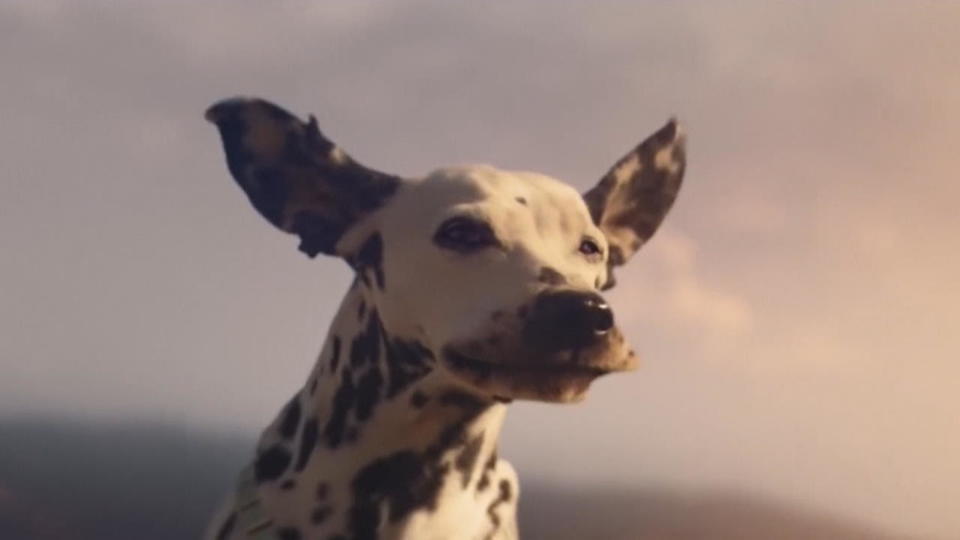 Die Top-Five Die fünf besten Werbespots zum Super Bowl