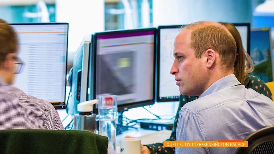 Prinz William beim Geheimdienst