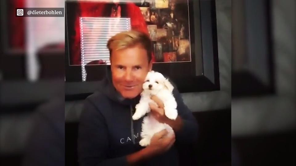 Dieter Bohlen heißt Rocky willkommen Der Bohlen-Nachwuchs in Aktion