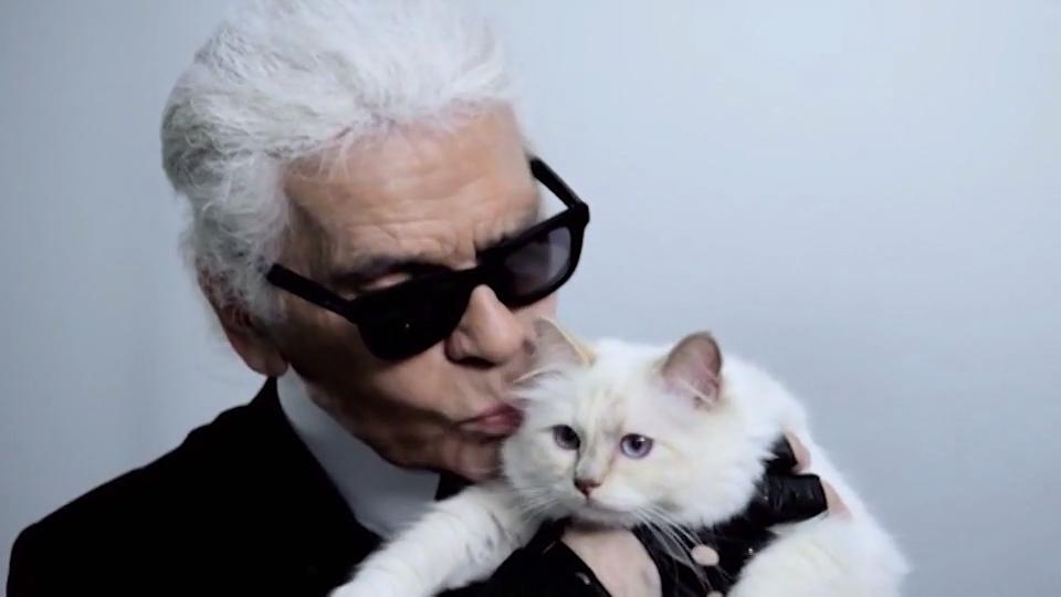 Fans in großer Sorge Karl Lagerfeld: Wo ist seine Katze Choupette?