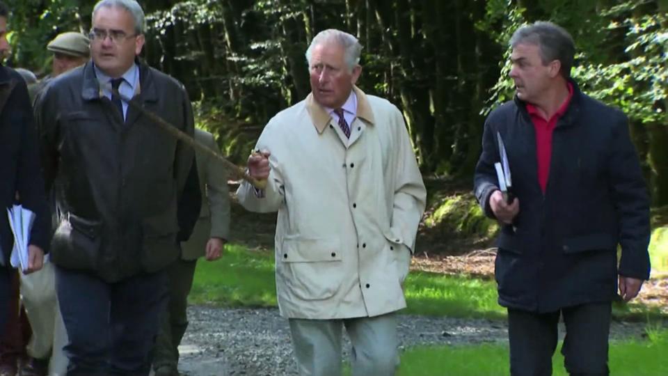 Schock für den Kunstliebhaber Prinz Charles besitzt gefälschte Kunstwerke