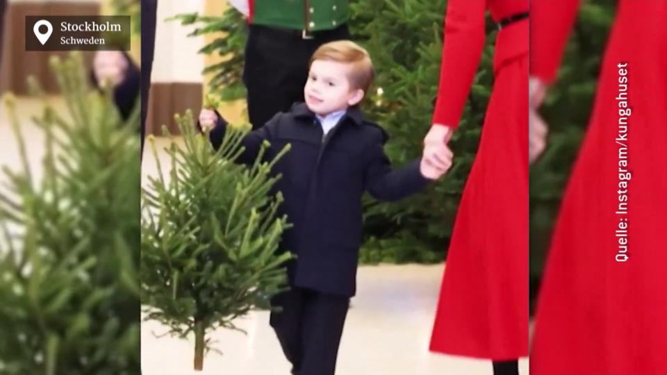 Schweden-Royals Prinz Oscar empfängt die Weihnachtsbäume
