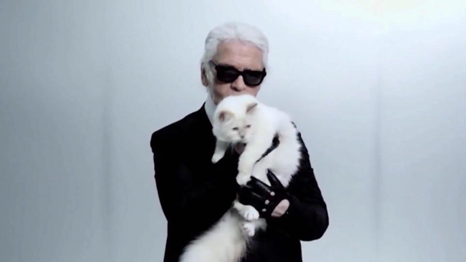 Erster Todestag von Karl Lagerfeld Was macht eigentlich seine Katze Choupette?