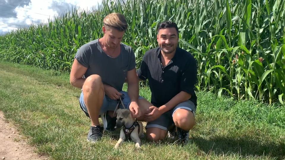 Die Hunde der „Unter uns“-Stars Serien-Stars zeigen ihre Vierbeiner