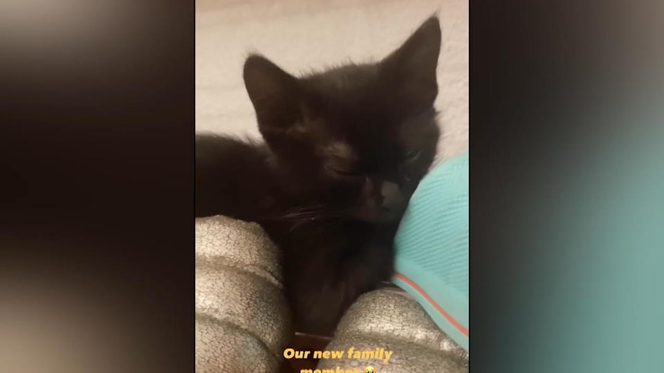 "Geschwisterchen" für Goldie Venus Bonnie Strange hat einen tierischen Sohn