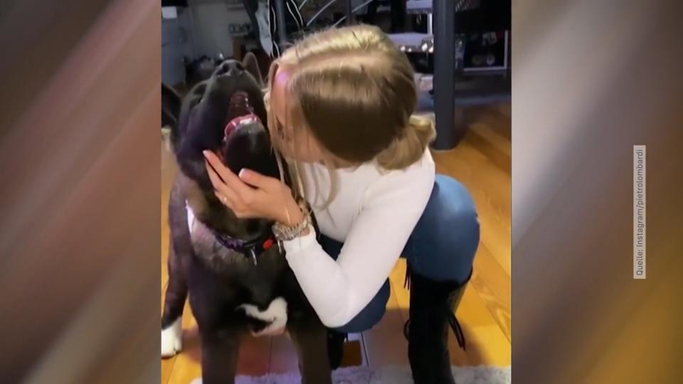 Pietro reagiert auf Kritik Pietro & Laura: Das ist ihr neuer Hund