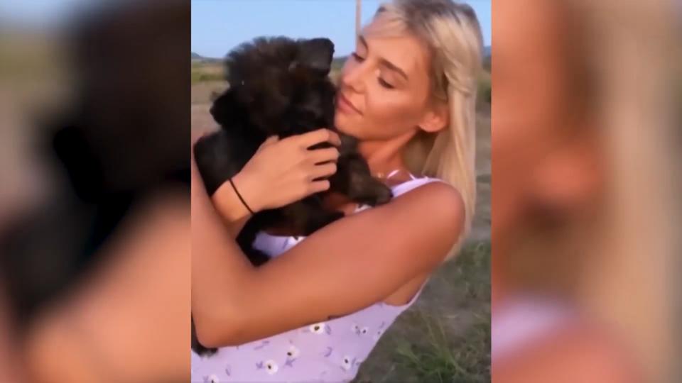 Teddy zieht bei der Ex-Bachelorette ein Gerda Lewis hat jetzt einen Hund!