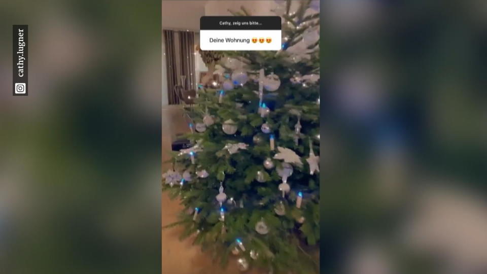 Ihr Town-House Cathy Lugner ganz privat: So sieht es bei ihr daheim aus