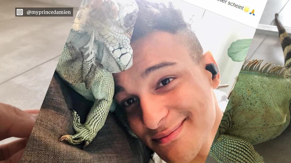 Tierisch traurig! Prince Damien hat seinen geliebten Leguan verloren