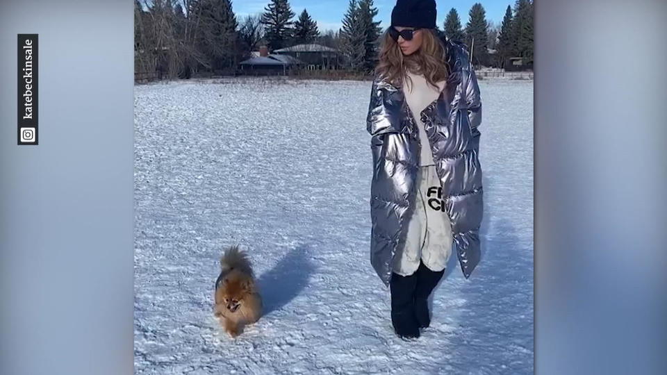 Zum "National Pet Day" Die Top-Posts 3 der süßesten Promi-Haustiere