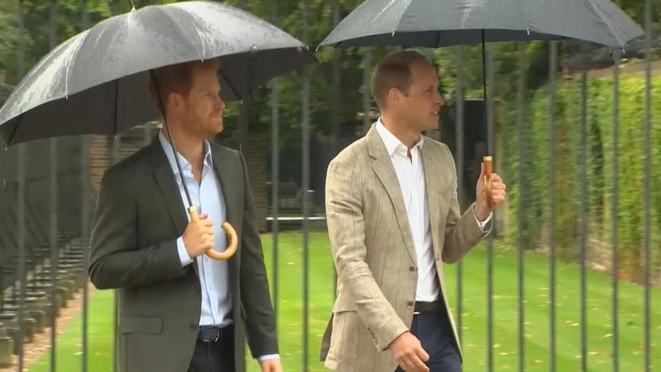 Vor der Beisetzung Harry wird erstmals wieder auf Bruder William treffen
