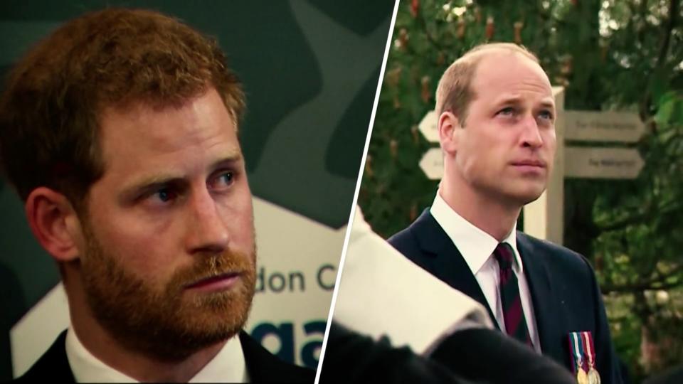 Versteckte Botschaften? Die Statements von Harry & William im Vergleich
