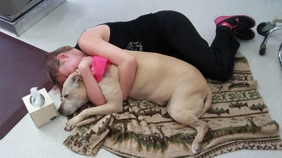 Hund Muss Eingeschlafert Werden Frauchen Ermoglicht Hannah Den