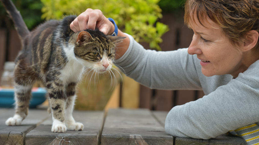 Leicht dehydriert aber in guter Verfassung trifft Boo nach dreizehn Jahren auf Janet. Die gealterte Katze erkennt sie sofort.