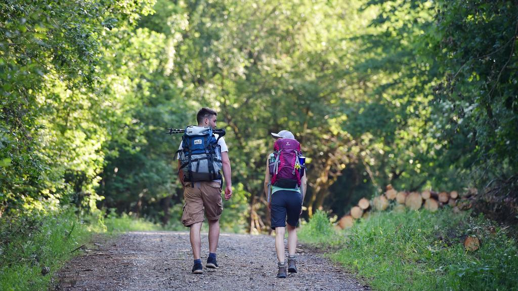 Zwei Wanderer gehen auf dem Hexenstieg im Harz, aufgenommen am 31.05.2018 bei Osterode. Foto: Frank May/picture alliance (model released) | Verwendung weltweit