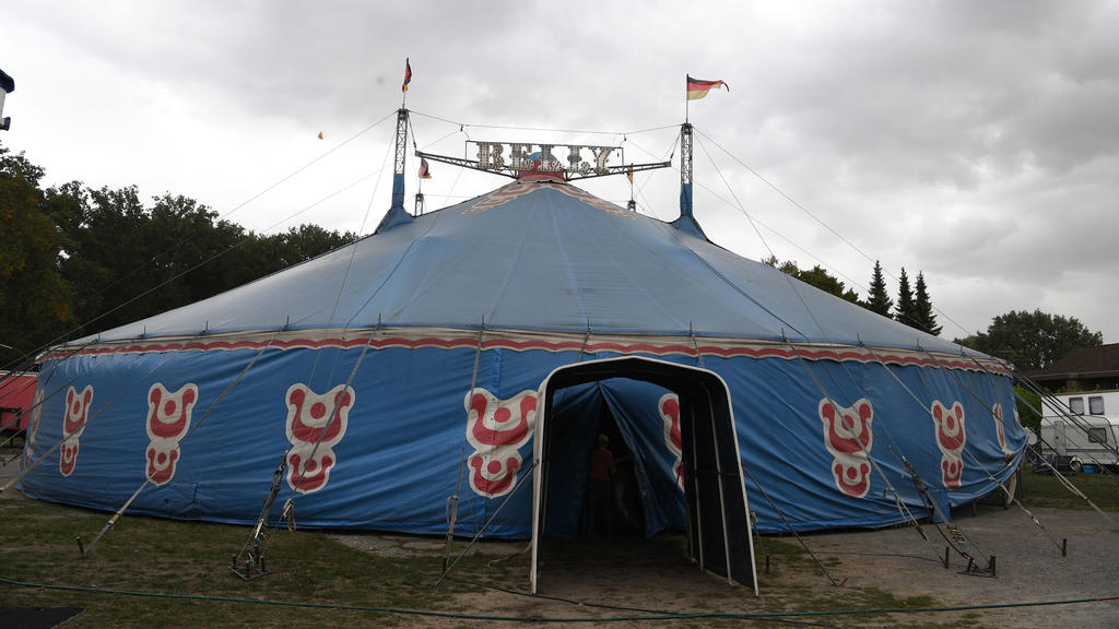 Zirkus aus dem niedersächsischen Visselhövede: Robbys Zuhause.