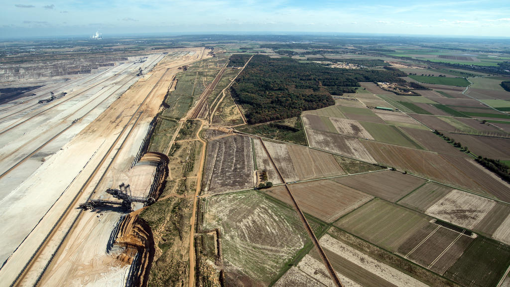 Die letzten Bäume des Hambacher Forsts