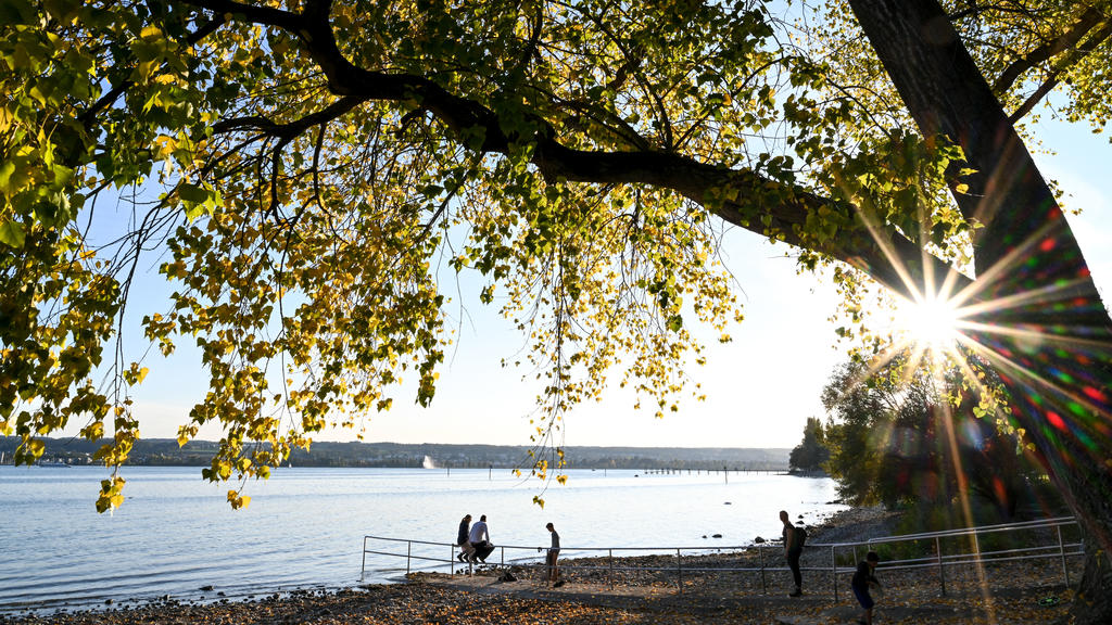 Herbst am Bodensee