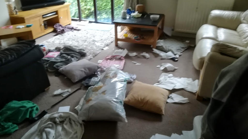 William Hewlett verwüstete das Wohnzimmer