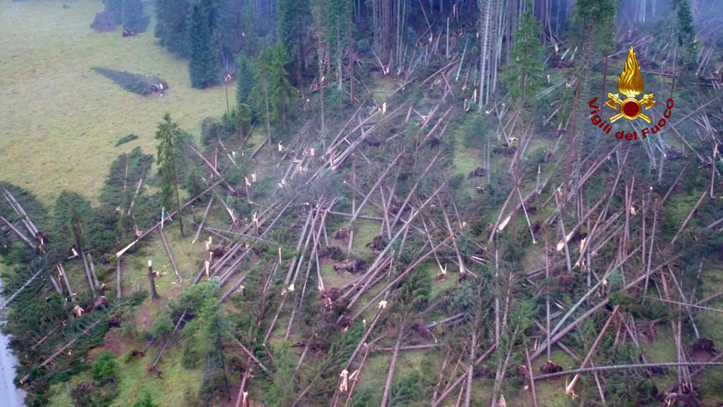 Italien Belluno Unwetter umgeknickte Bäume