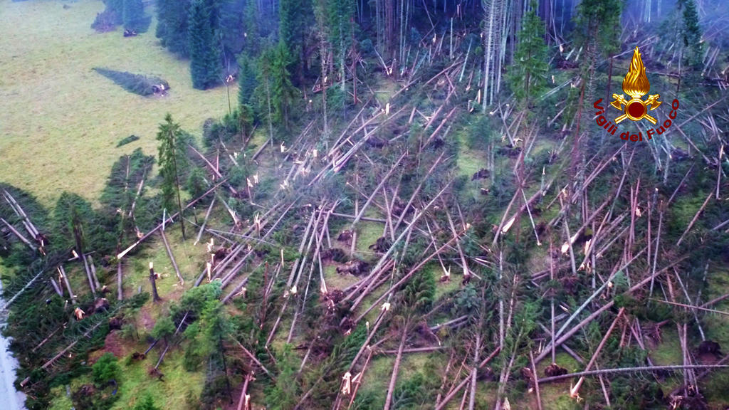 HANDOUT - 03.11.2018, Italien, Belluno: Dieses von der italienischen Feuerwehr zur Verfügung gestellte Foto zeigt umgestürzte Bäume, die auf dem Boden in einem Wald bei Belluno liegen. Unwetter haben in Italien Chaos und Verwüstung angerichtet. Foto:
