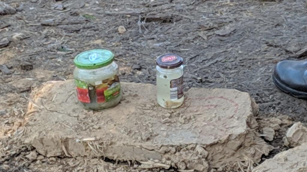 Gläser am Hambacher Forst