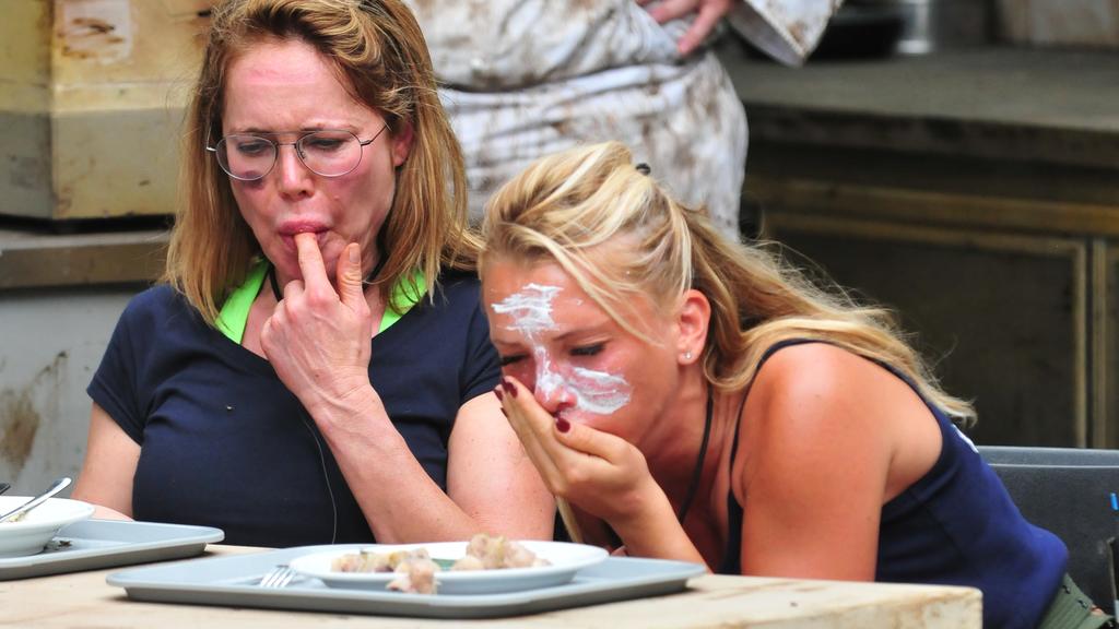 Doreen und Evelyn scheinen die Schweinehoden-Frikadellen und der Kotzfruchtkartoffelsalat zu püriertem Kakerlakensenf nicht so zu munden...
