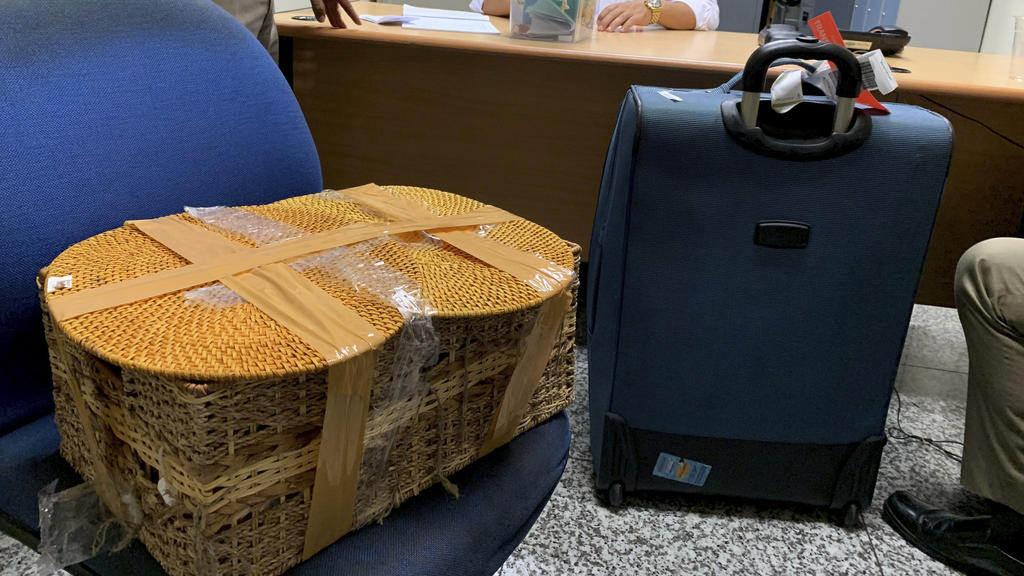 HANDOUT - 23.03.2019, Indonesien, Bali: Das von der Naturschutzbehörde Bali (BKSDA Bali) zur Verfügung gestellte Bild zeigt indonesische Beamte in einem Raum, in dem die Besitztümer eines russischen Staatsangehörigen, einschließlich eines Rattankorbe