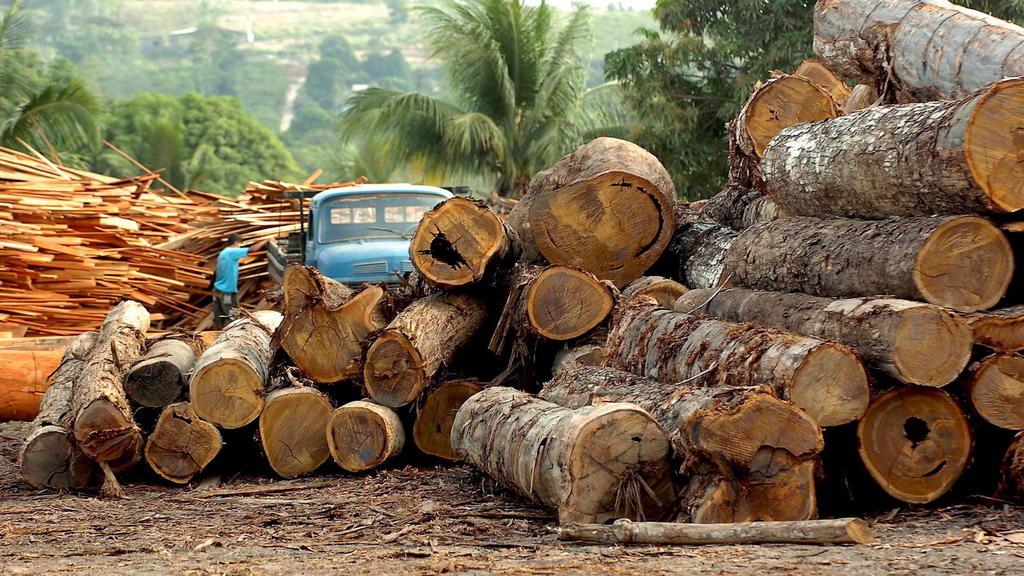 ARCHIV - 17.03.2019, Brasilien, Altamira: Eine Holzfabrik in Brasilien (undatiertes Archivfoto). (zu dpa:"Angriff auf die grüne Lunge: Amazonas-Regenwald schrumpft stark" vom 20.03.2019) Foto: epa efe Marcelo Sayao/EFE/dpa +++ dpa-Bildfunk +++