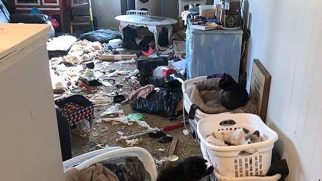 In dieser Wohnung mussten die armen Tiere hausen.